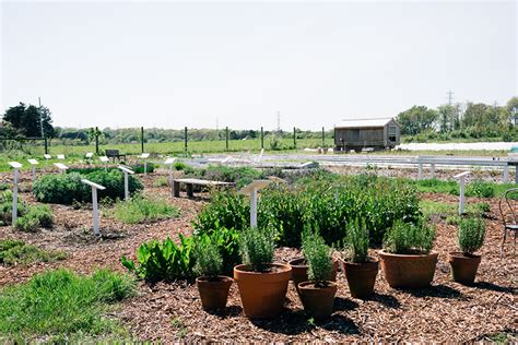 Amagansett Guide: Real Estate, Beaches, Restaurants.